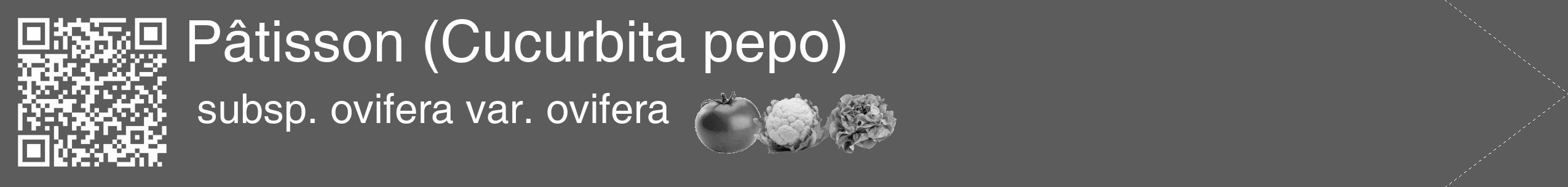 Étiquette de : Cucurbita pepo subsp. ovifera var. ovifera - format c - style blanche49_simple_simplehel avec qrcode et comestibilité simplifiée