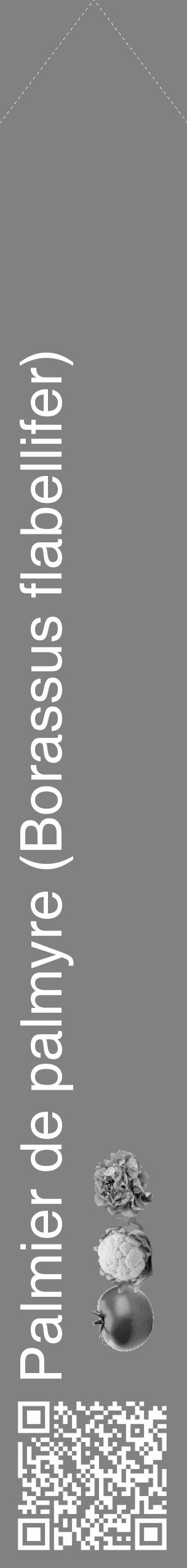 Étiquette de : Borassus flabellifer - format c - style blanche50_simple_simplehel avec qrcode et comestibilité simplifiée - position verticale
