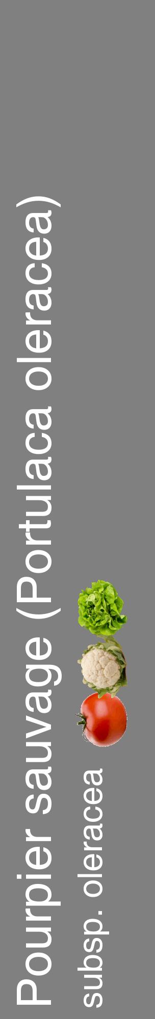 Étiquette de : Portulaca oleracea subsp. oleracea - format c - style blanche57_basiquehel avec comestibilité simplifiée