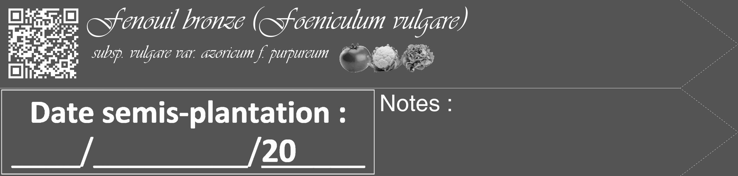 Étiquette de : Foeniculum vulgare subsp. vulgare var. azoricum f. purpureum - format c - style blanche30_simple_simpleviv avec qrcode et comestibilité simplifiée