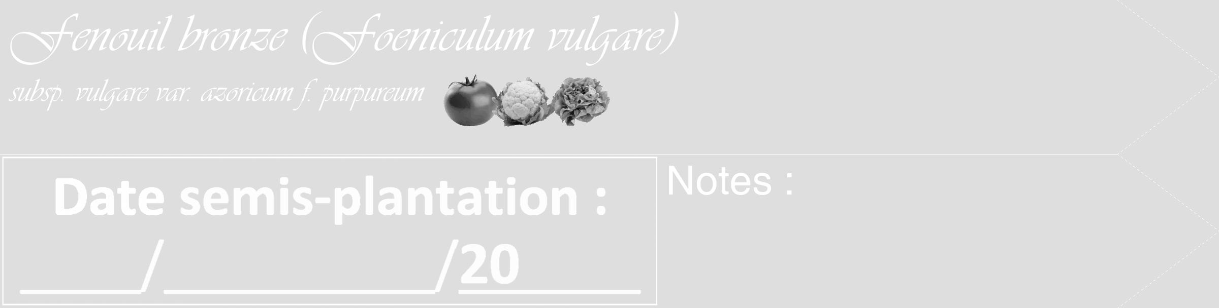 Étiquette de : Foeniculum vulgare subsp. vulgare var. azoricum f. purpureum - format c - style blanche20_simple_simpleviv avec comestibilité simplifiée