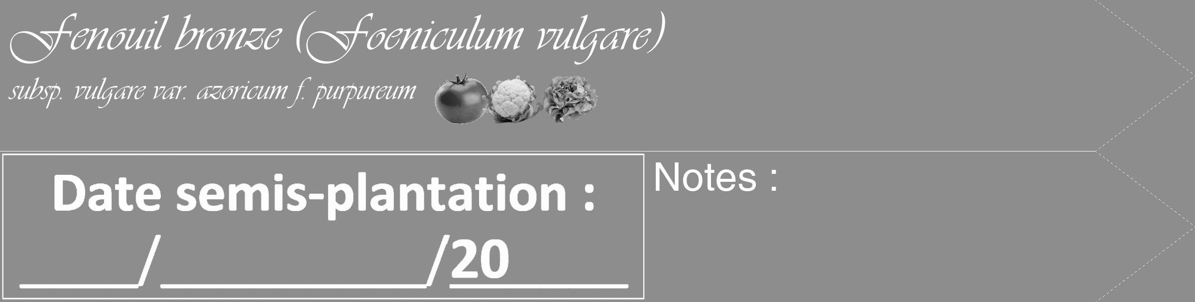Étiquette de : Foeniculum vulgare subsp. vulgare var. azoricum f. purpureum - format c - style blanche2_simple_simpleviv avec comestibilité simplifiée