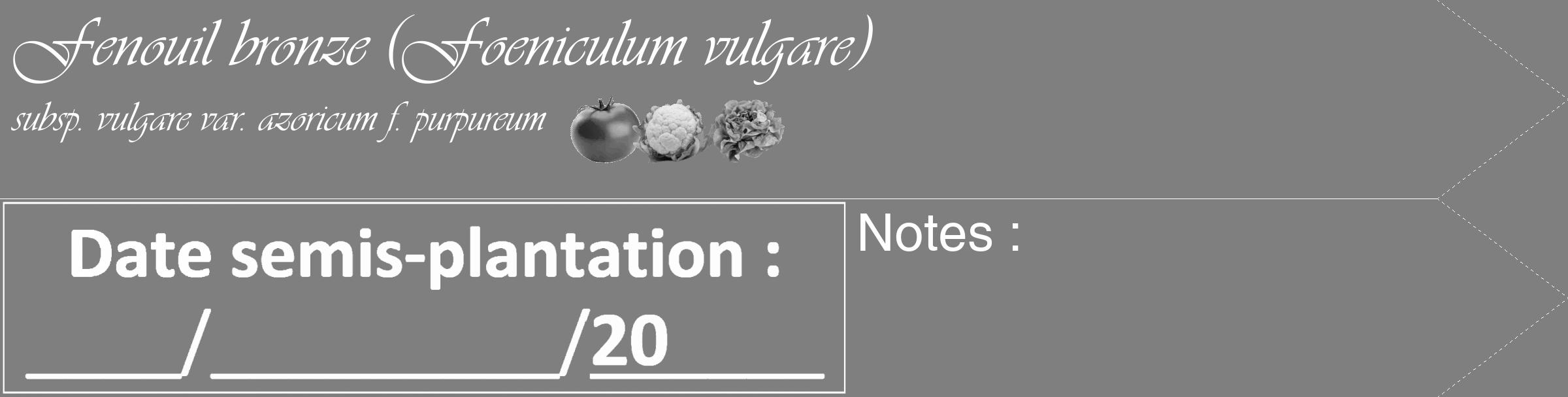 Étiquette de : Foeniculum vulgare subsp. vulgare var. azoricum f. purpureum - format c - style blanche31_simple_simpleviv avec comestibilité simplifiée