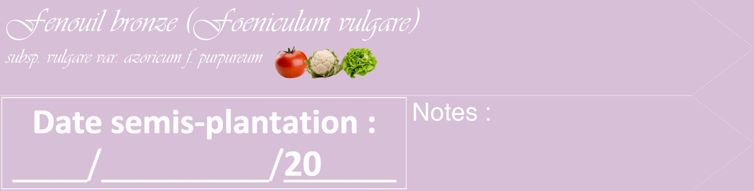 Étiquette de : Foeniculum vulgare subsp. vulgare var. azoricum f. purpureum - format c - style blanche54_simple_simpleviv avec comestibilité simplifiée
