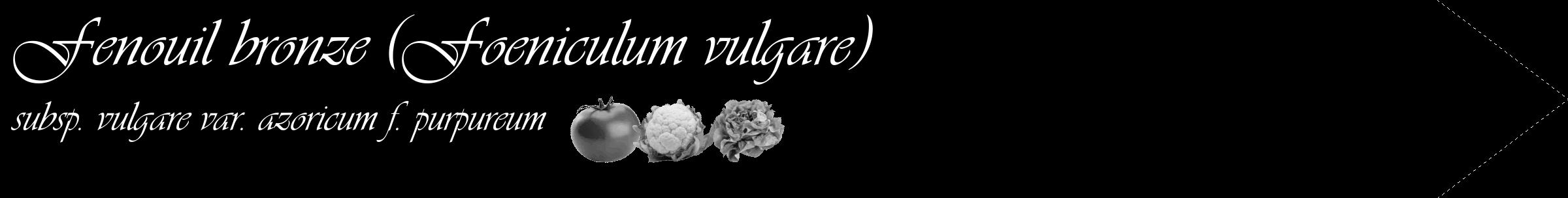 Étiquette de : Foeniculum vulgare subsp. vulgare var. azoricum f. purpureum - format c - style blanche59_simple_simpleviv avec comestibilité simplifiée