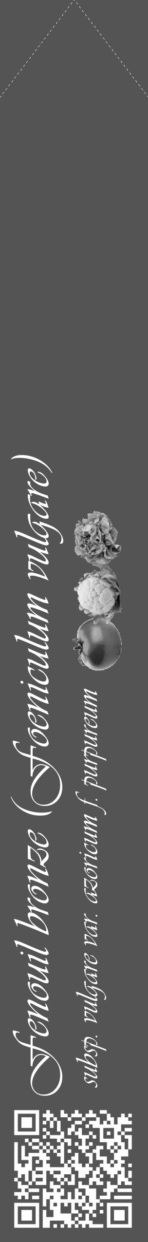 Étiquette de : Foeniculum vulgare subsp. vulgare var. azoricum f. purpureum - format c - style blanche30_simple_simpleviv avec qrcode et comestibilité simplifiée - position verticale