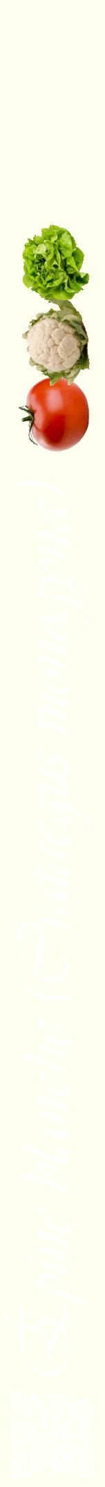 Étiquette de : Crataegus monogyna - format a - style blanche19viv avec qrcode et comestibilité simplifiée