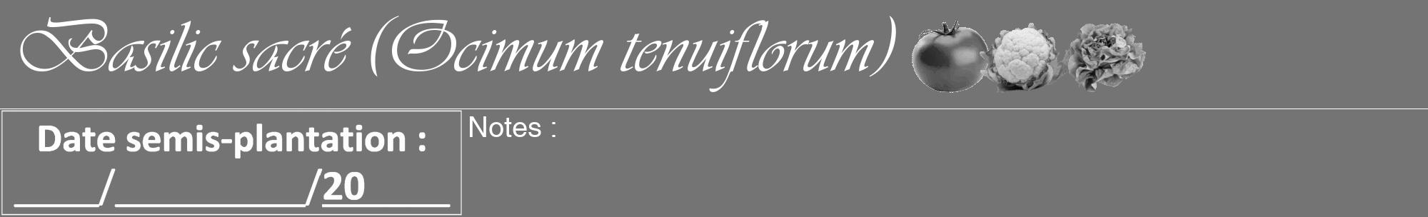 Étiquette de : Ocimum tenuiflorum - format a - style blanche26viv avec comestibilité simplifiée
