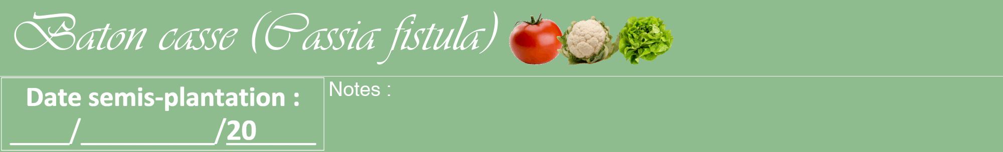 Étiquette de : Cassia fistula - format a - style blanche13viv avec comestibilité simplifiée