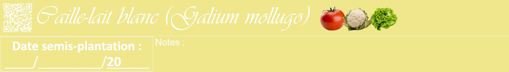 Étiquette de : Galium mollugo - format a - style blanche20viv avec qrcode et comestibilité simplifiée