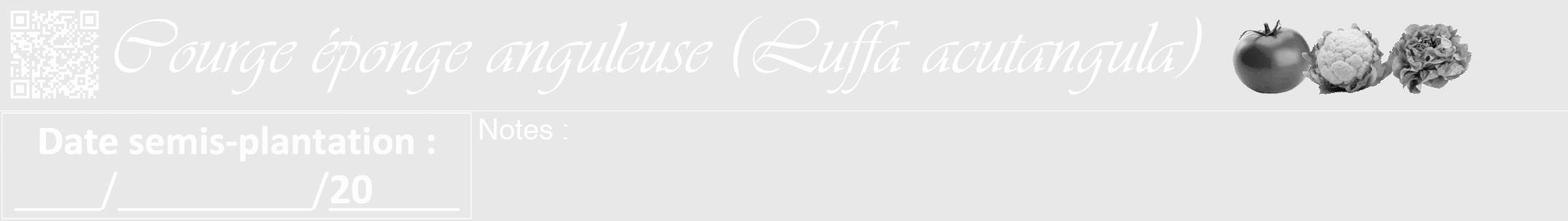 Étiquette de : Luffa acutangula - format a - style blanche55viv avec qrcode et comestibilité simplifiée