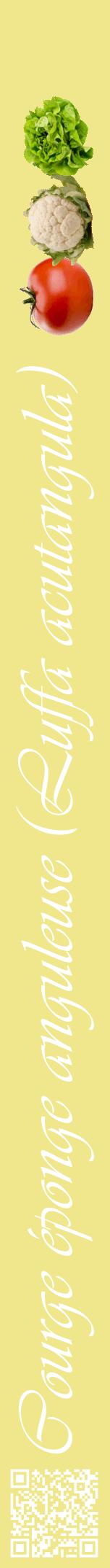 Étiquette de : Luffa acutangula - format a - style blanche20viv avec qrcode et comestibilité simplifiée