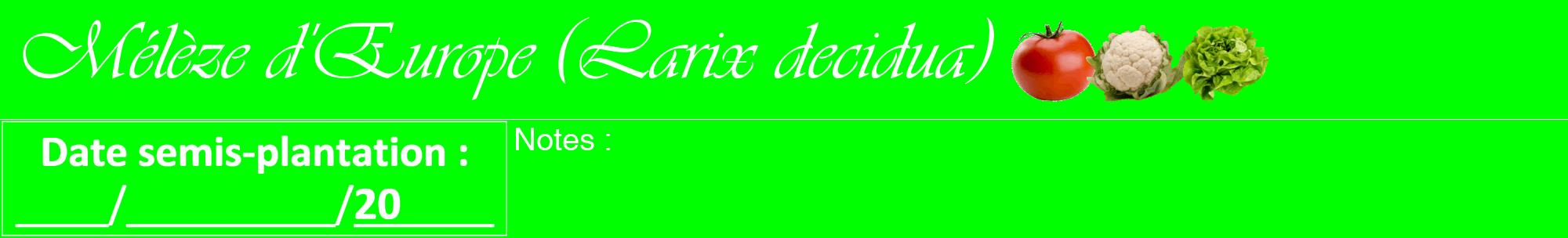 Étiquette de : Larix decidua - format a - style blanche16viv avec comestibilité simplifiée