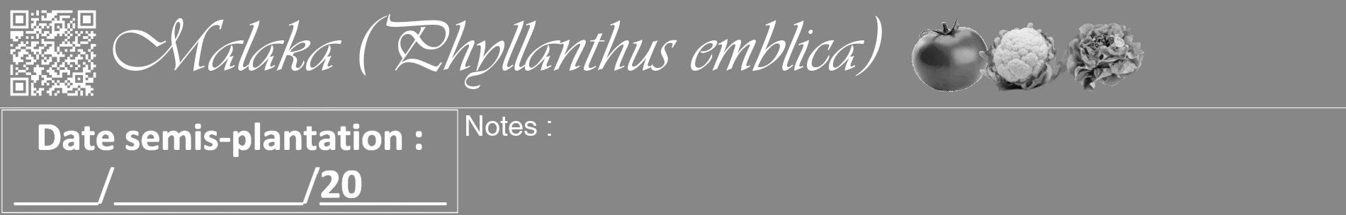 Étiquette de : Phyllanthus emblica - format a - style blanche12basiqueviv avec qrcode et comestibilité simplifiée