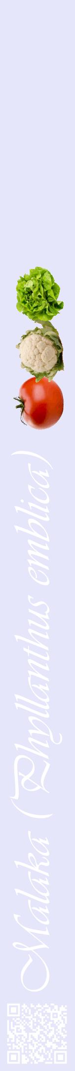 Étiquette de : Phyllanthus emblica - format a - style blanche55viv avec qrcode et comestibilité simplifiée