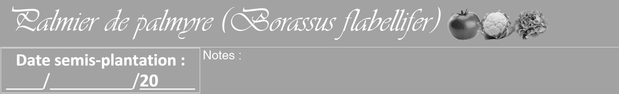 Étiquette de : Borassus flabellifer - format a - style blanche38viv avec comestibilité simplifiée
