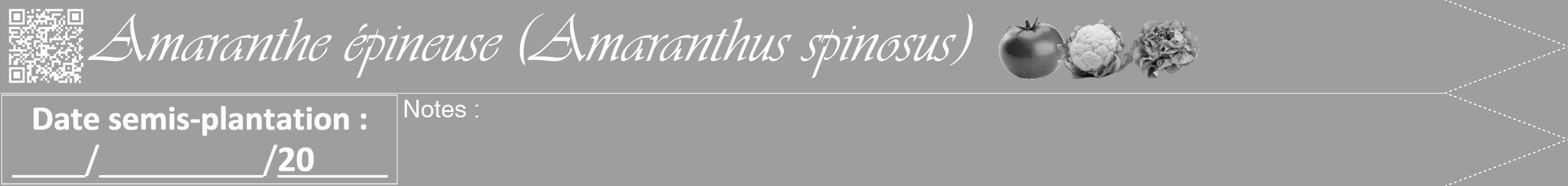 Étiquette de : Amaranthus spinosus - format b - style blanche42viv avec qrcode et comestibilité simplifiée