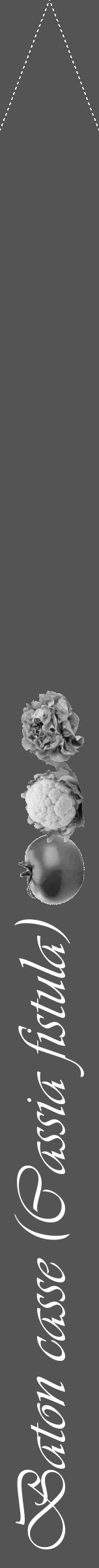 Étiquette de : Cassia fistula - format b - style blanche30viv avec comestibilité simplifiée - position verticale