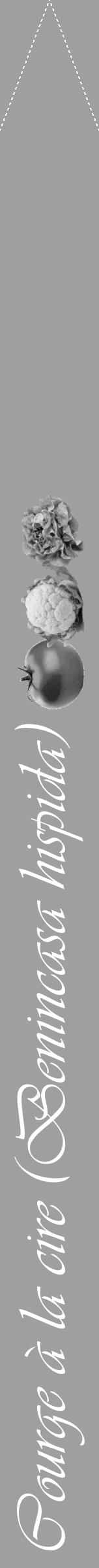 Étiquette de : Benincasa hispida - format b - style blanche24viv avec comestibilité simplifiée - position verticale