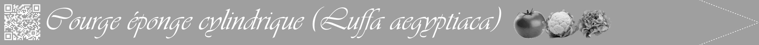 Étiquette de : Luffa aegyptiaca - format b - style blanche24viv avec qrcode et comestibilité simplifiée