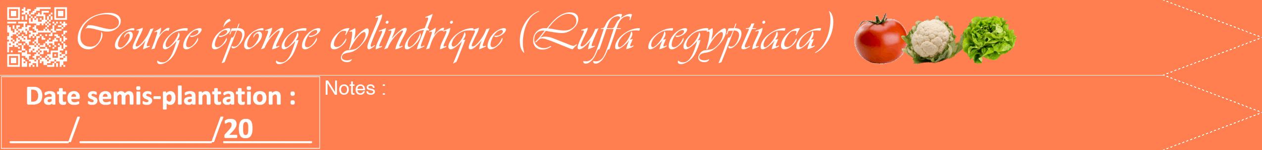 Étiquette de : Luffa aegyptiaca - format b - style blanche24viv avec qrcode et comestibilité simplifiée