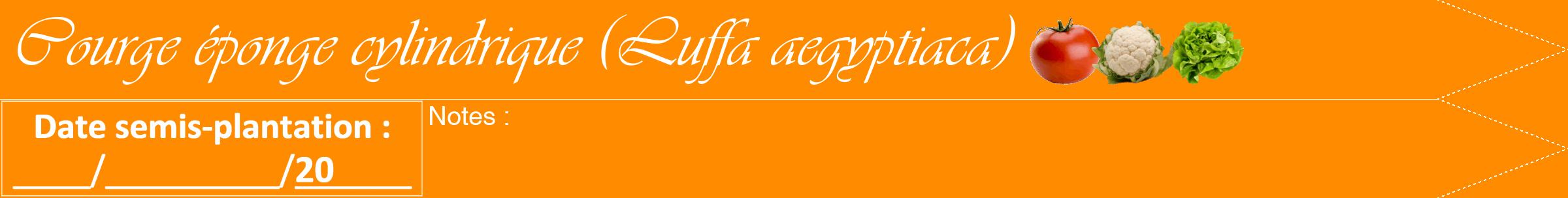 Étiquette de : Luffa aegyptiaca - format b - style blanche23viv avec comestibilité simplifiée
