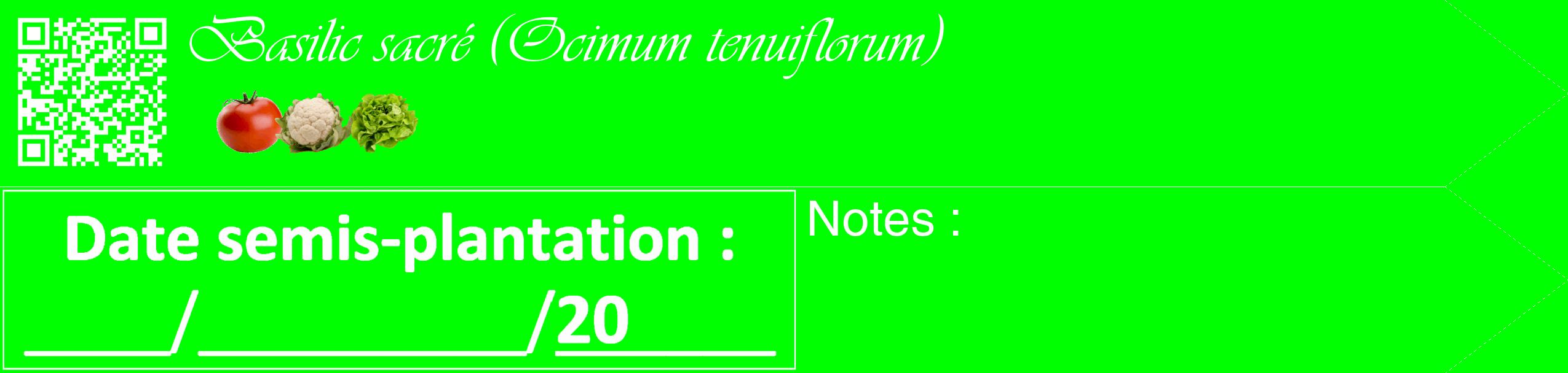 Étiquette de : Ocimum tenuiflorum - format c - style blanche16_simple_simpleviv avec qrcode et comestibilité simplifiée