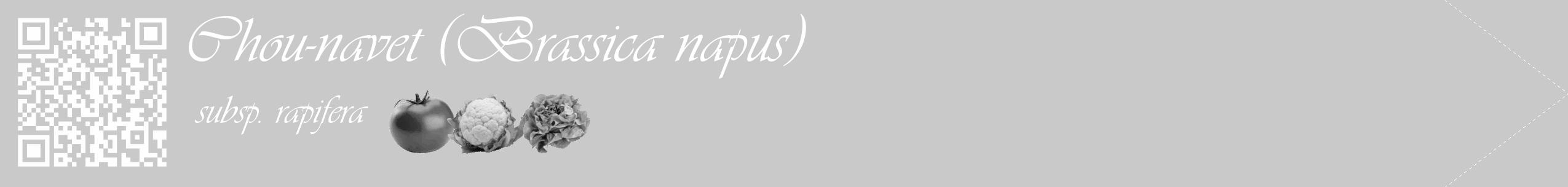 Étiquette de : Brassica napus subsp. rapifera - format c - style blanche54_simple_simpleviv avec qrcode et comestibilité simplifiée