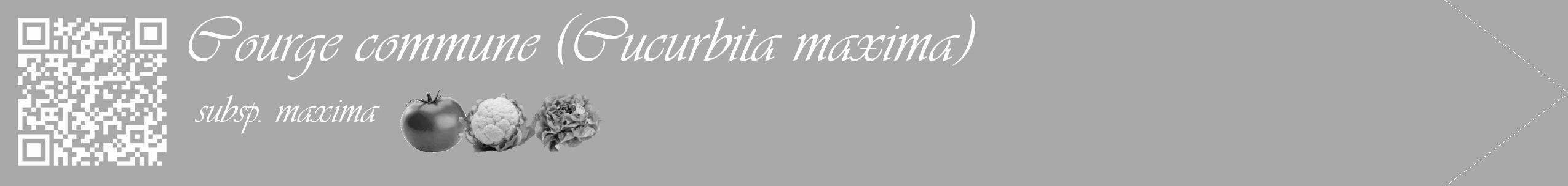 Étiquette de : Cucurbita maxima subsp. maxima - format c - style blanche13_simple_simpleviv avec qrcode et comestibilité simplifiée