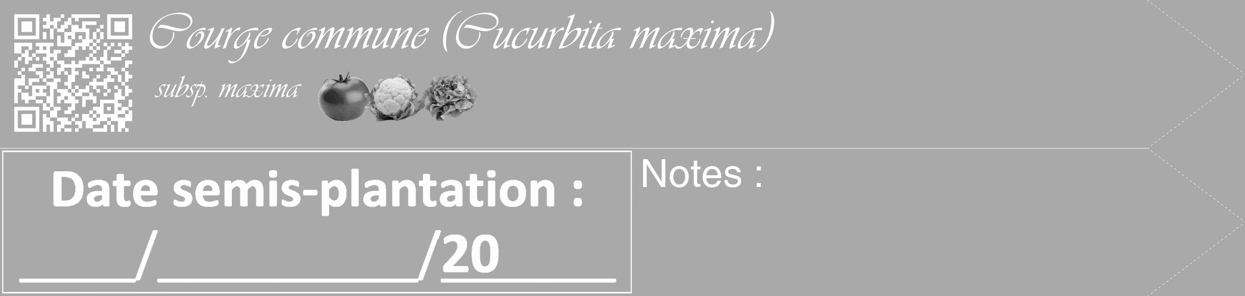 Étiquette de : Cucurbita maxima subsp. maxima - format c - style blanche13_simple_simpleviv avec qrcode et comestibilité simplifiée