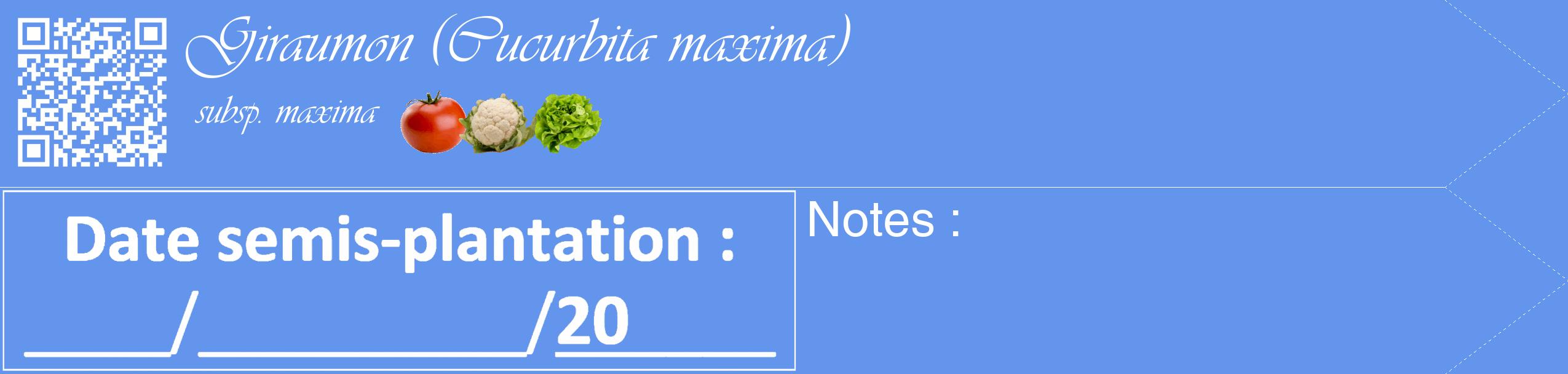 Étiquette de : Cucurbita maxima subsp. maxima - format c - style blanche4_simple_simpleviv avec qrcode et comestibilité simplifiée