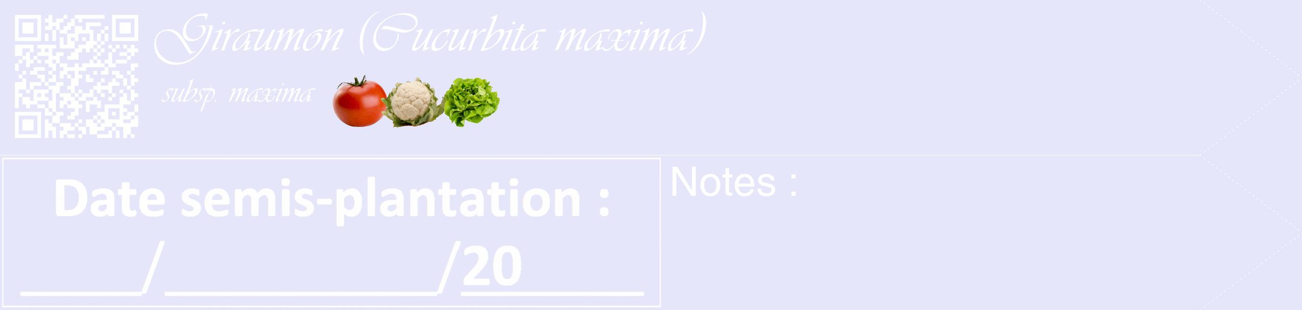 Étiquette de : Cucurbita maxima subsp. maxima - format c - style blanche55_simple_simpleviv avec qrcode et comestibilité simplifiée