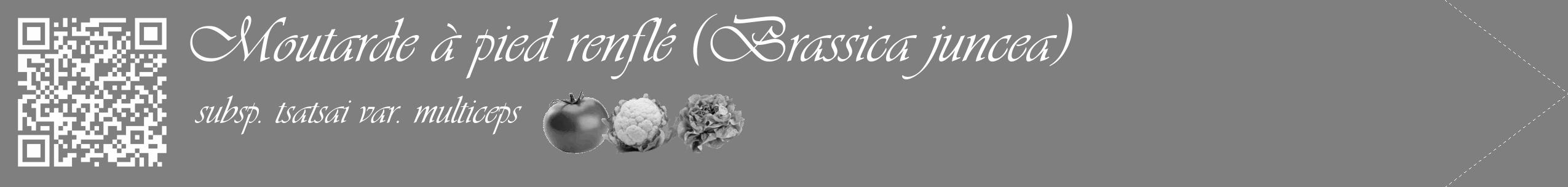 Étiquette de : Brassica juncea subsp. tsatsai var. multiceps - format c - style blanche31simple_simple_simpleviv avec qrcode et comestibilité simplifiée