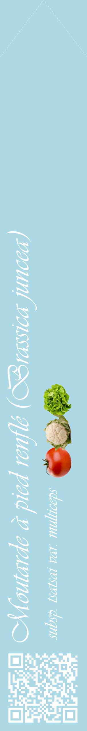 Étiquette de : Brassica juncea subsp. tsatsai var. multiceps - format c - style blanche0_simpleviv avec qrcode et comestibilité simplifiée