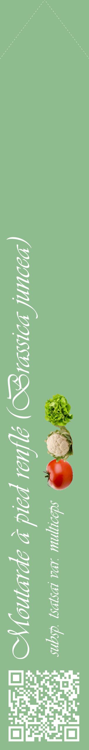 Étiquette de : Brassica juncea subsp. tsatsai var. multiceps - format c - style blanche13_simpleviv avec qrcode et comestibilité simplifiée