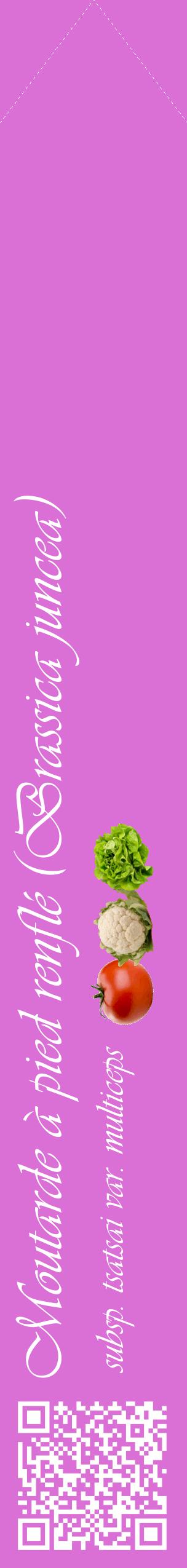 Étiquette de : Brassica juncea subsp. tsatsai var. multiceps - format c - style blanche52_simpleviv avec qrcode et comestibilité simplifiée