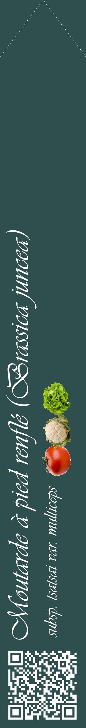 Étiquette de : Brassica juncea subsp. tsatsai var. multiceps - format c - style blanche58_simpleviv avec qrcode et comestibilité simplifiée