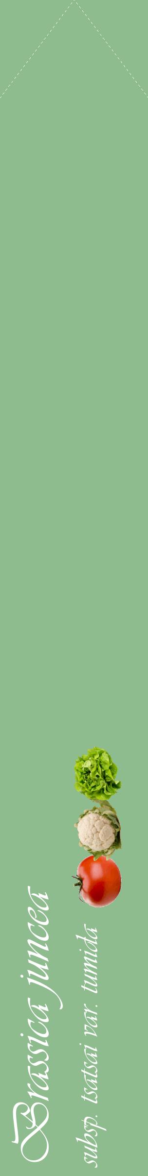 Étiquette de : Brassica juncea subsp. tsatsai var. tumida - format c - style blanche13_simpleviv avec comestibilité simplifiée