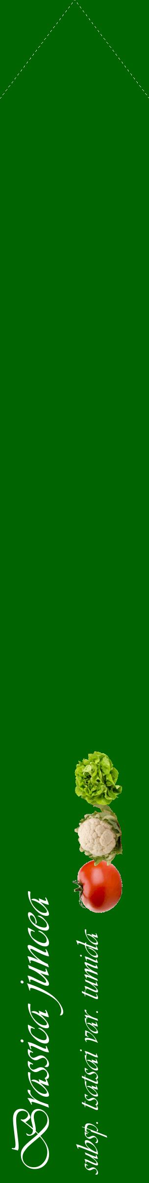 Étiquette de : Brassica juncea subsp. tsatsai var. tumida - format c - style blanche8_simpleviv avec comestibilité simplifiée