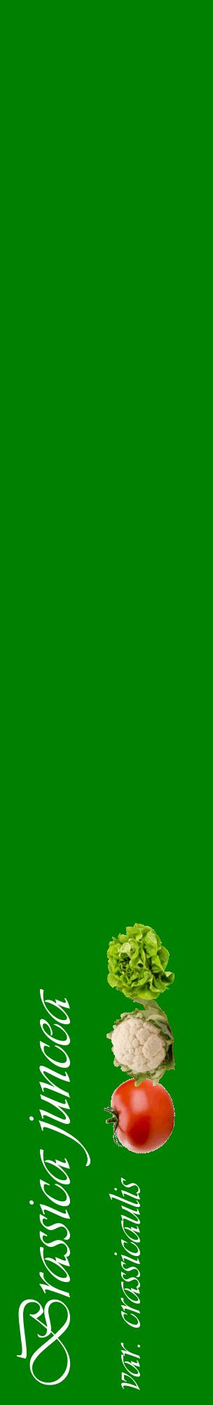 Étiquette de : Brassica juncea var. crassicaulis - format c - style blanche9_basiqueviv avec comestibilité simplifiée