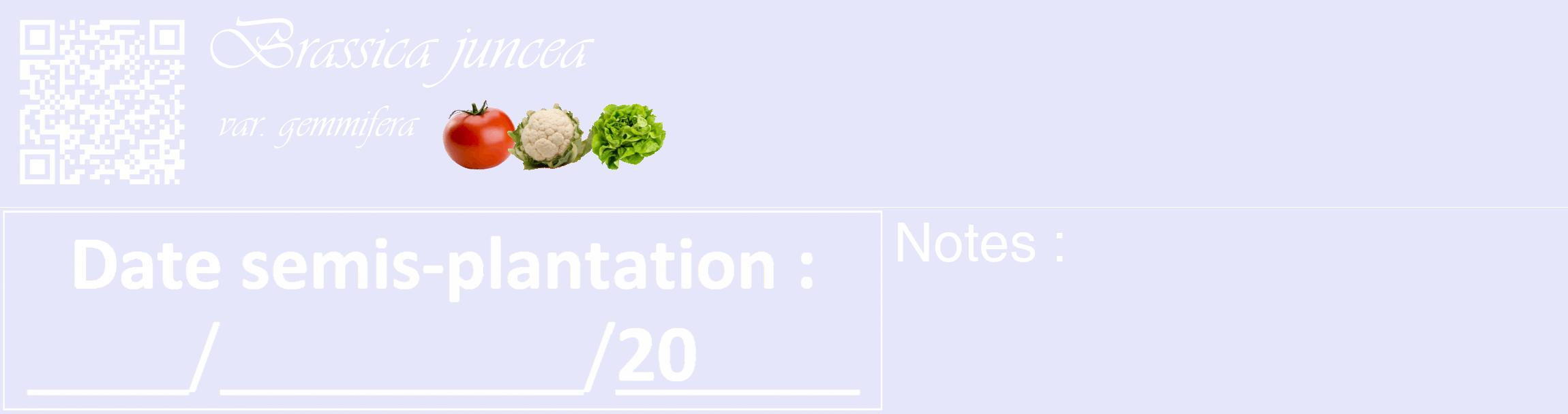 Étiquette de : Brassica juncea var. gemmifera - format c - style blanche55_basique_basiqueviv avec qrcode et comestibilité simplifiée