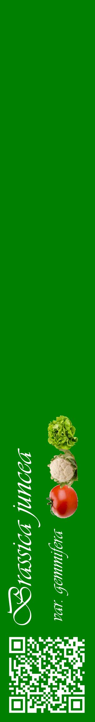 Étiquette de : Brassica juncea var. gemmifera - format c - style blanche9_basiqueviv avec qrcode et comestibilité simplifiée