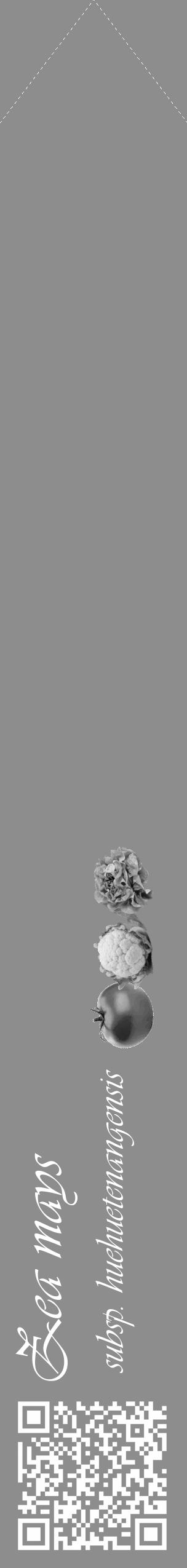 Étiquette de : Zea mays subsp. huehuetenangensis - format c - style blanche2_simple_simpleviv avec qrcode et comestibilité simplifiée - position verticale
