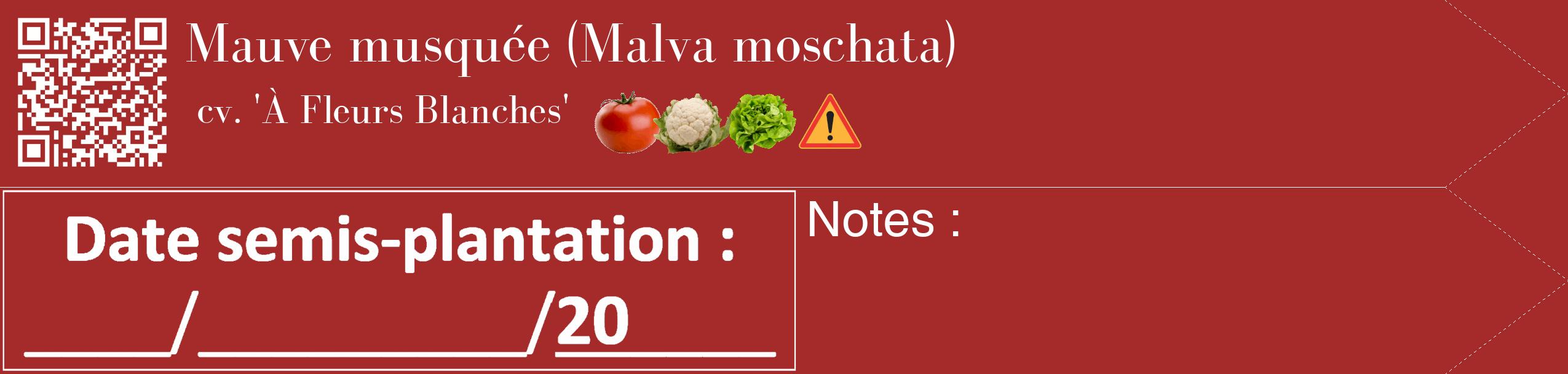 Étiquette de : Malva moschata cv. 'À Fleurs Blanches' - format c - style blanche33_simple_simplebod avec qrcode et comestibilité simplifiée