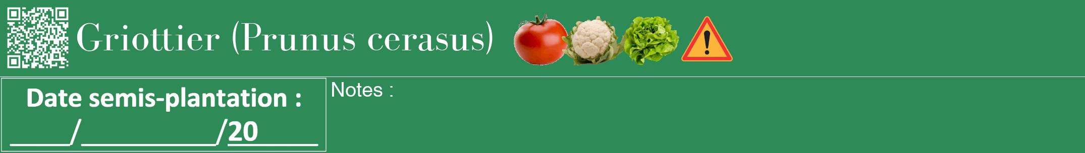 Étiquette de : Prunus cerasus - format a - style blanche11bod avec qrcode et comestibilité simplifiée