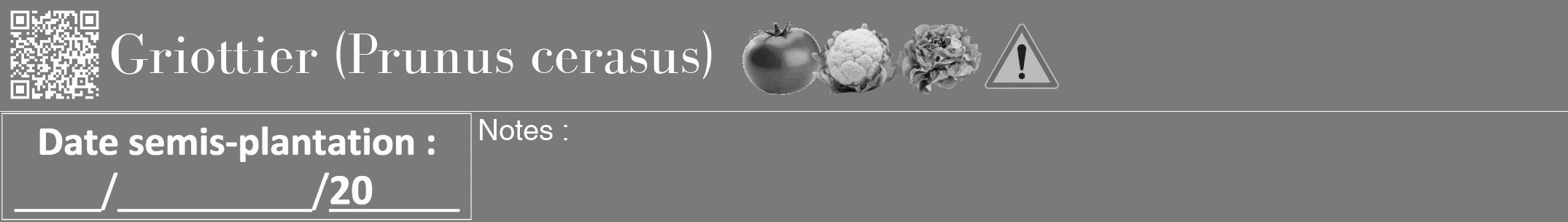 Étiquette de : Prunus cerasus - format a - style blanche3bod avec qrcode et comestibilité simplifiée