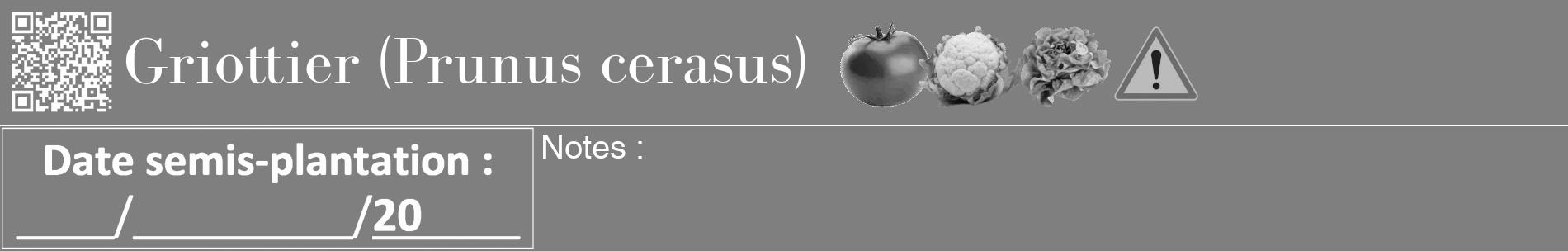 Étiquette de : Prunus cerasus - format a - style blanche57basiquebod avec qrcode et comestibilité simplifiée
