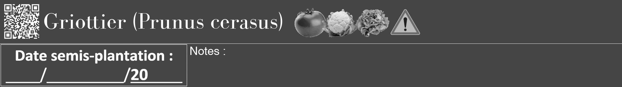 Étiquette de : Prunus cerasus - format a - style blanche58bod avec qrcode et comestibilité simplifiée