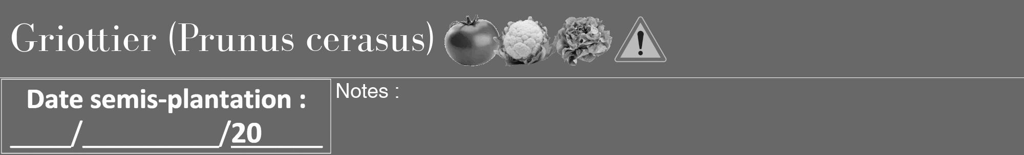 Étiquette de : Prunus cerasus - format a - style blanche43bod avec comestibilité simplifiée