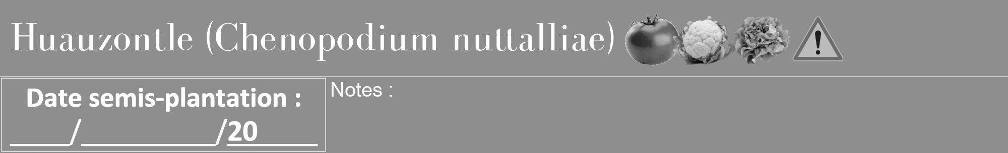 Étiquette de : Chenopodium nuttalliae - format a - style blanche25bod avec comestibilité simplifiée